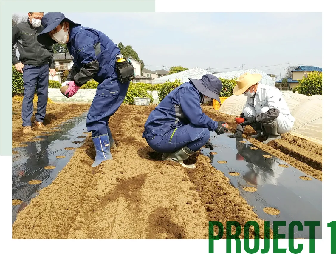 project1