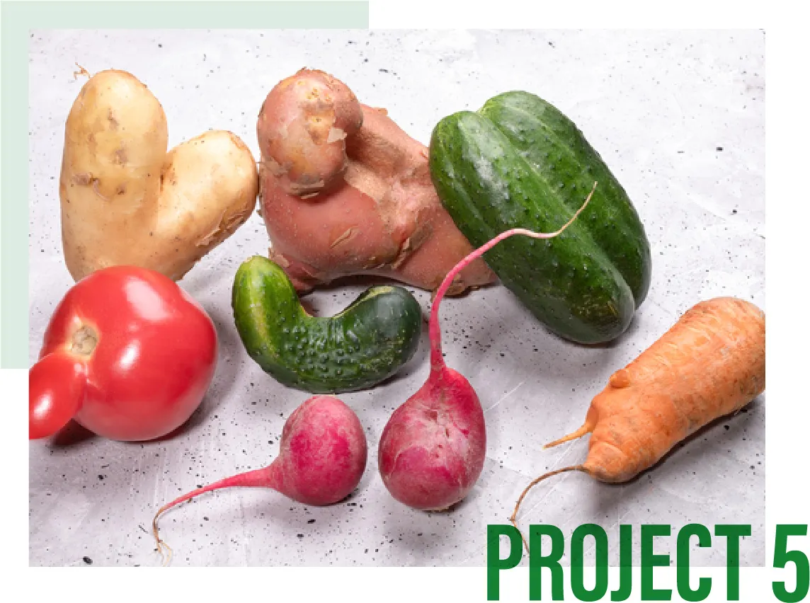 project5