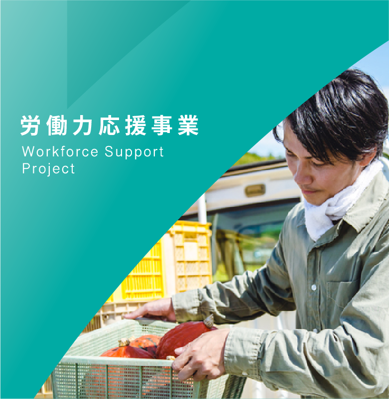 労働力応援事業