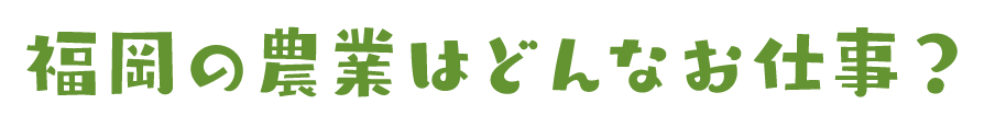 福岡の農業はどんなお仕事？