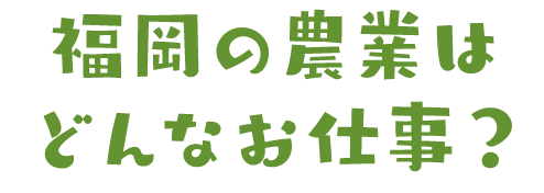福岡の農業はどんなお仕事？