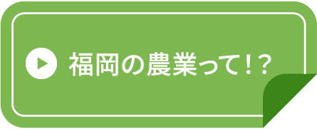 福岡の農業って！？