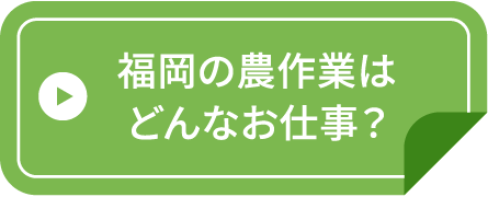 福岡の農作業はどんなお仕事？
