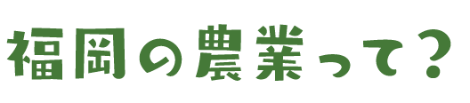 福岡の農業って！？