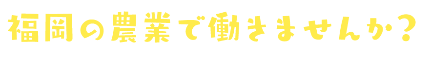福岡の農業で働きませんか？