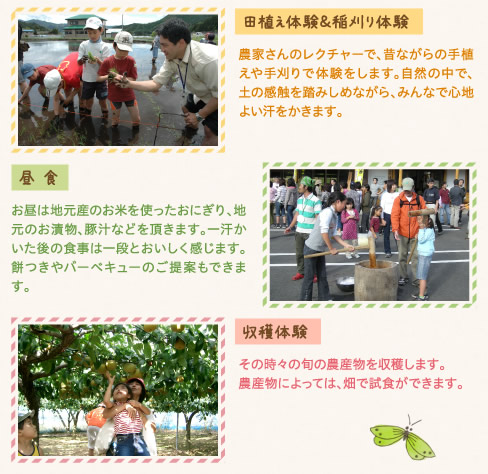 田植え体験＆稲刈り体験