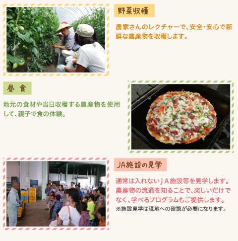 野菜収穫