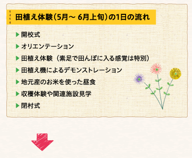 田植え体験（5月～6月上旬）の1日の流れ