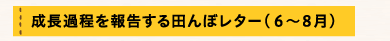 成長過程を報告する田んぼレター（６～８月）