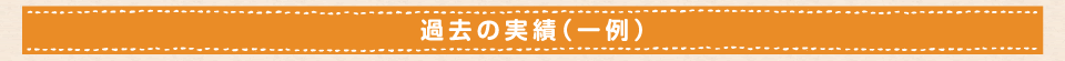 過去の実績（一例）