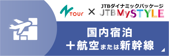 国内宿泊＋航空または新幹線