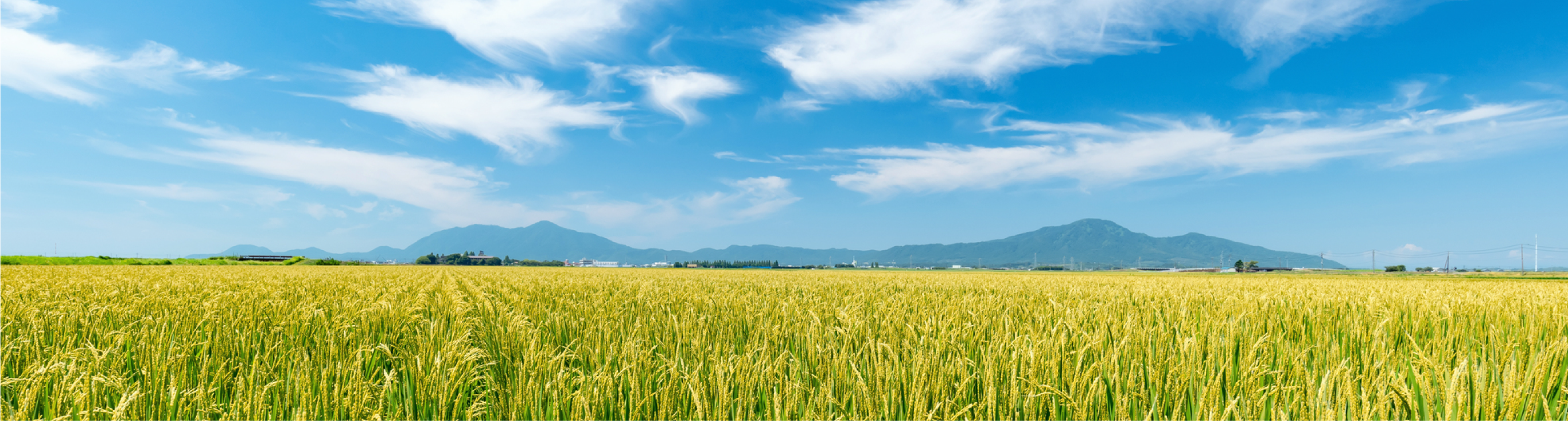 農地のイメージ