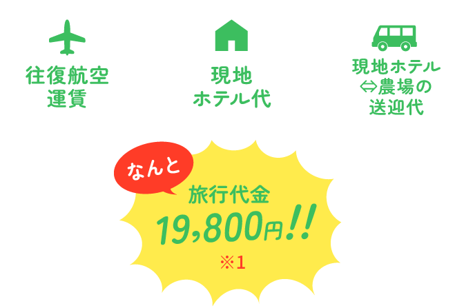 詳細