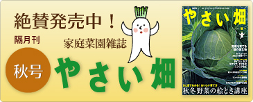 家のひかり