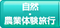 ホーム