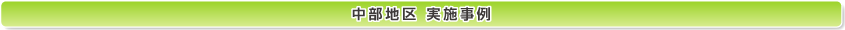 中部地区 実践事例