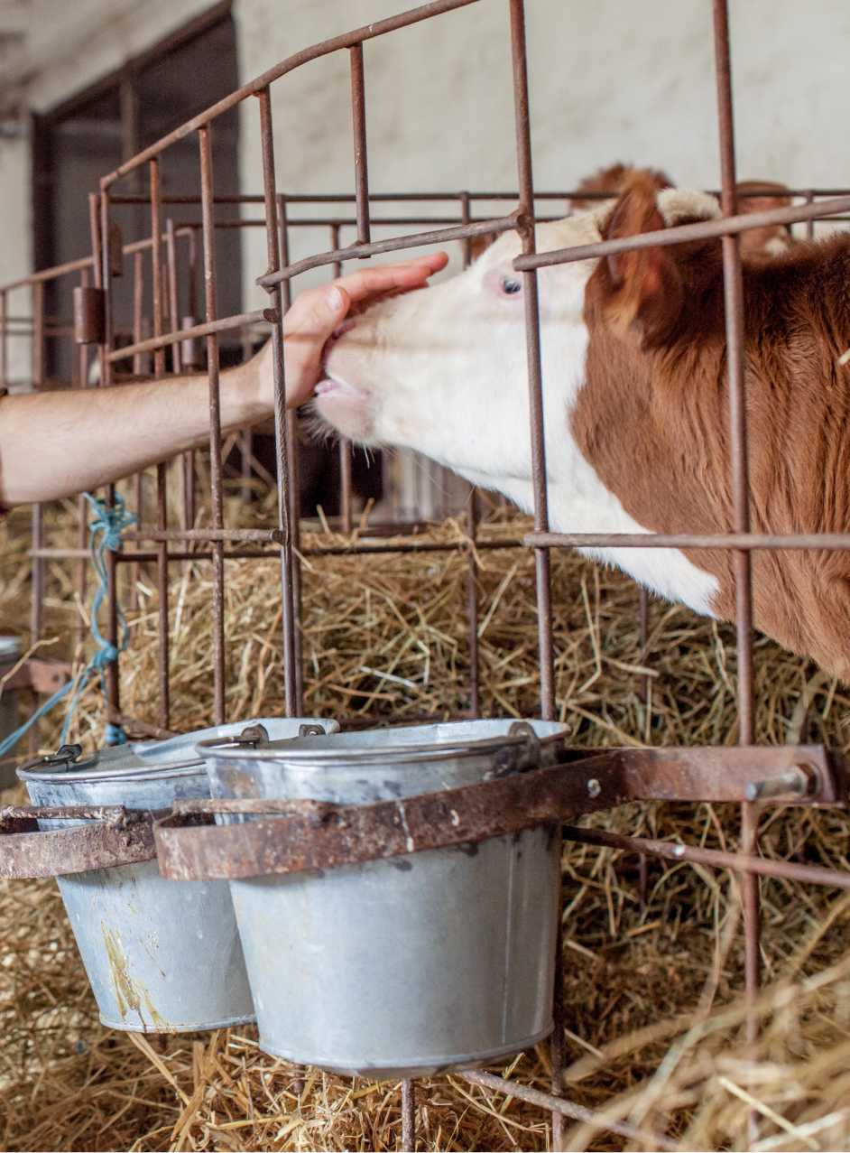 農作業のイメージ